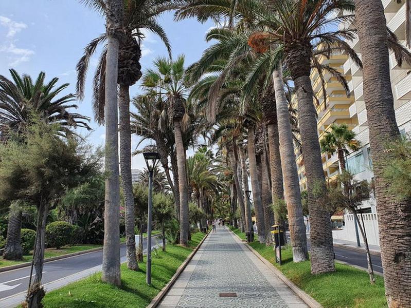 Apartamento Renovado, Frente A La Playa, Con Garaje Apartamento Puerto de la Cruz  Exterior foto